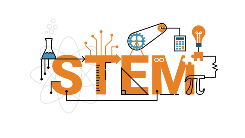 具有STEM背景的人申请法学院有更大的优势？STEM申请法律专业更容易？