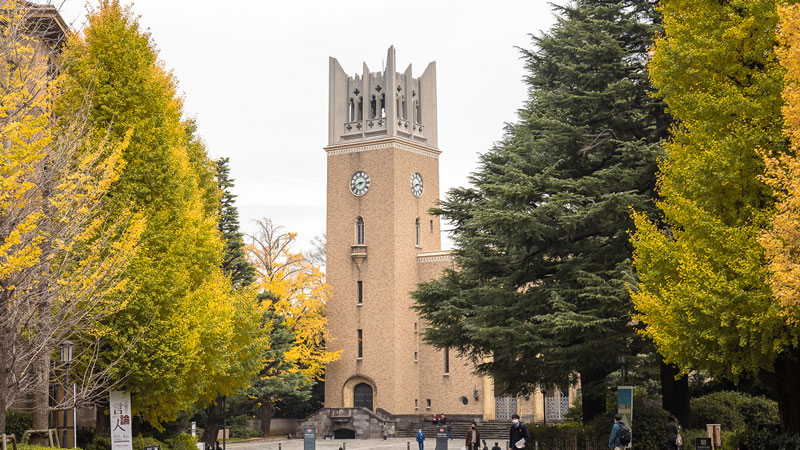 早稻田大学