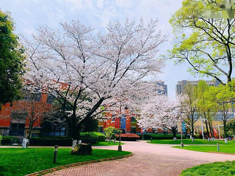 速看!2021年宁波爱学国际学校招生简章发布